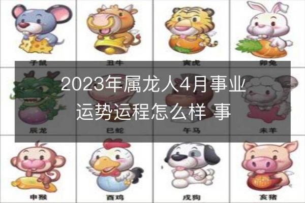 2023年属龙人感情,2023年属龙人情感运势展望