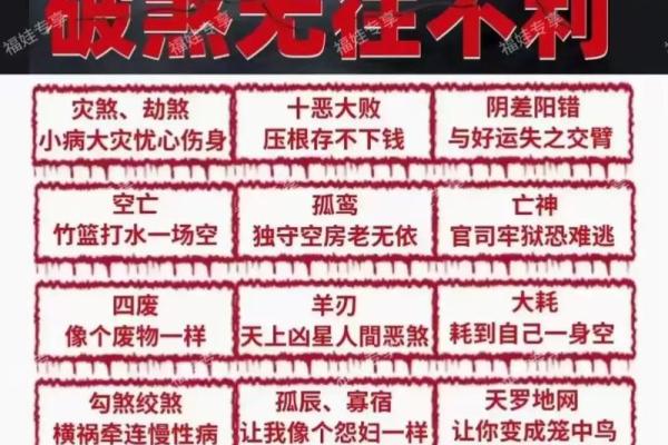 海贼王明哥八字命理解析 海贼王明哥命运八字研究