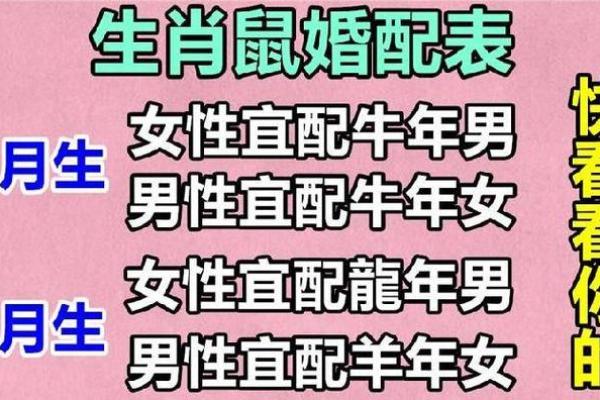 1996生肖鼠的命运如何,1996年出生生肖鼠的命运走势