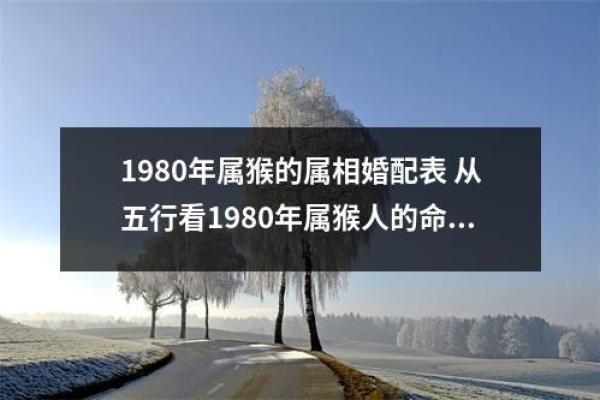 80年属猴女与什么相配(80年属猴女性的最佳配对是哪些)