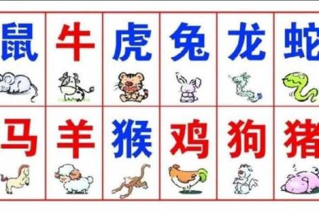95年属猪和狗女相配吗(1995年猪与狗女性的配对情况如何)