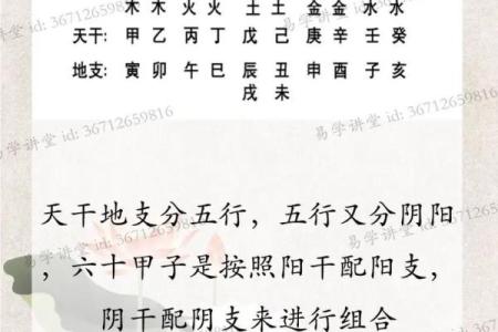盲派八字命理老人参 盲派八字命理的老人智慧