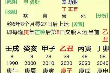 狗的生辰八字命理是什么 狗的八字命理和生辰信息是什么