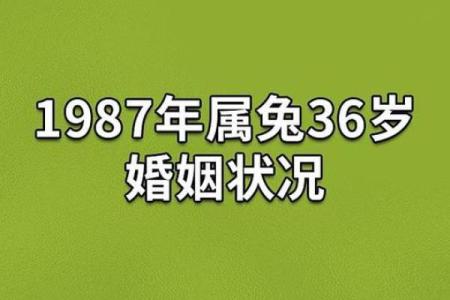 99年属兔和鼠男相配吗(1999年兔与鼠男性能否匹配)