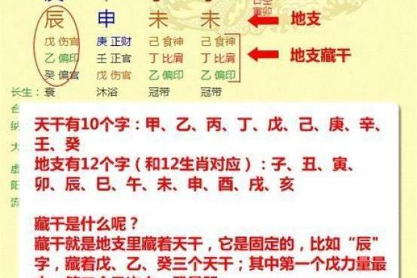 免费取名八字命盘 免费取名字和八字命盘服务