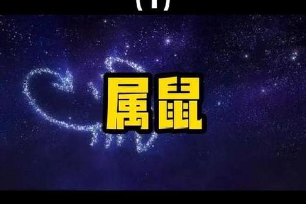 1984年属鼠的2016,1984年出生鼠年人2016年运势