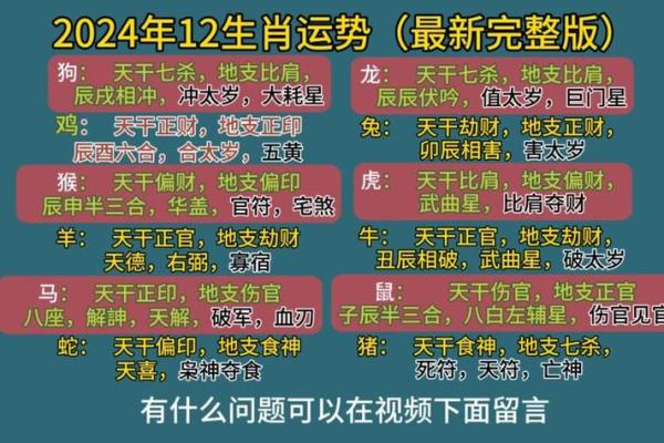 96年属鼠的人今年如何,1996年鼠年出生者在今年的运势如何