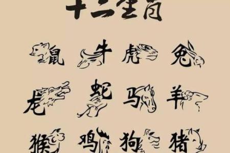 96年与属什么相配(1996年出生的属相最佳配对)