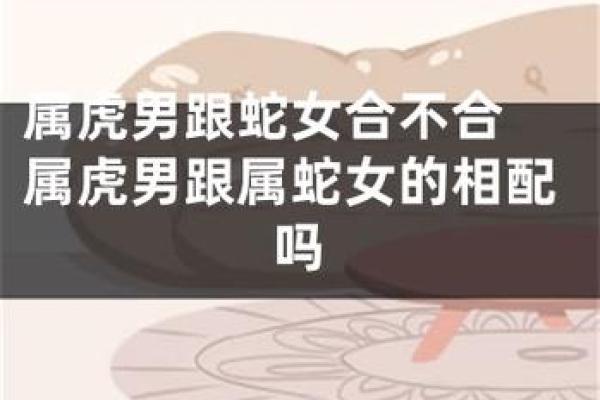 爸爸属蛇儿子属虎怎么化解,如何化解爸爸属蛇儿子属虎的关系