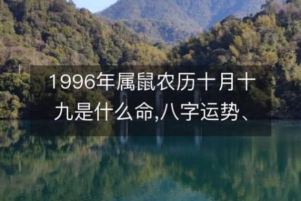 1972生肖鼠婚姻运,1972年属鼠的婚姻运势解读