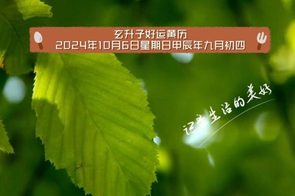 2024年6月百岁吉日(2024年6月百岁庆典日)