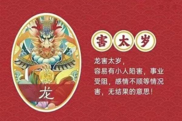 88属龙月份属什么,88年属龙的月份对应情况