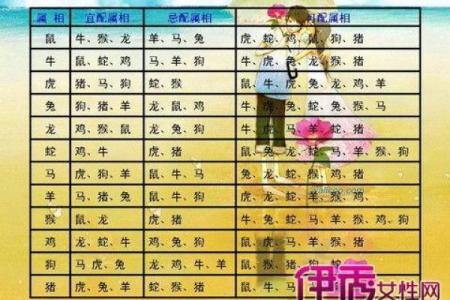 97年属什么属相配婚(1997年生肖与婚配关系)