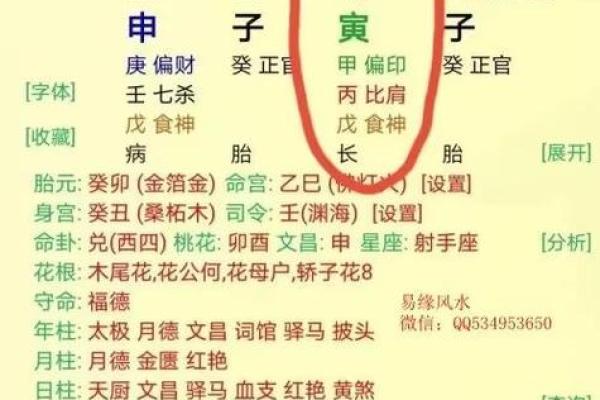 看企业的八字命盘怎么看 如何解读企业的八字命盘信息