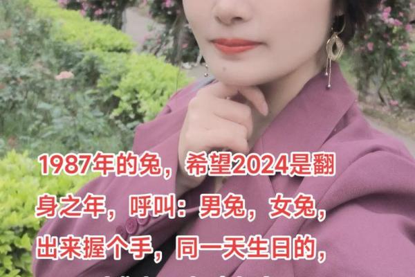 87年属兔和哪个属相配(87年兔与哪些生肖最合适相配)