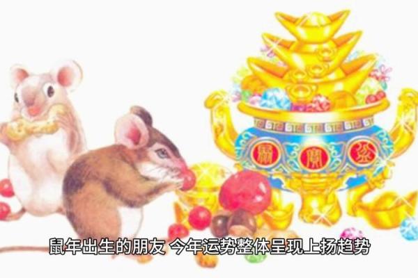 2021年属鼠的综合运势,2021年鼠年运势全面评估