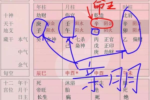 妈宝男八字命理详解大全 妈宝男命理八字深度解读全书