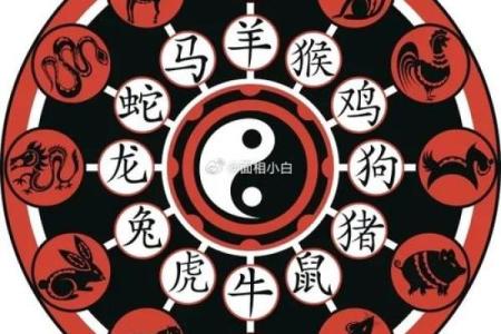 男人属猴跟属鼠相配吗(男性属猴与属鼠的相配性如何)