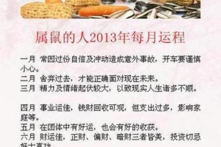 1984属鼠的什么五行,1984年出生鼠的五行属性是什么