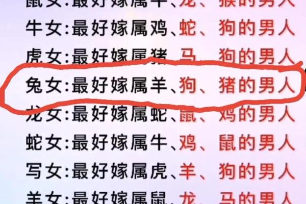 母子属马属牛相配吗(母子属马和属牛能否相合)