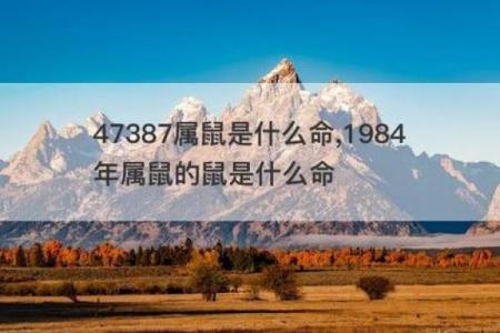 1984年属鼠的好不好,1984年出生属鼠的运势如何