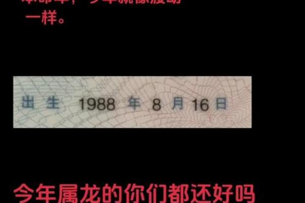 1988年属龙12月龙,1988年出生的十二月龙生肖特征