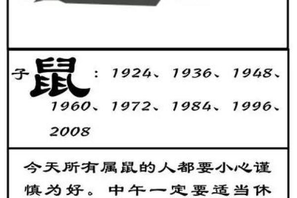 84年属什么与什么相配(1984年属相与配对关系介绍)