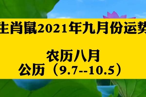 2021年属鼠的爱情,2021年属鼠人的爱情故事