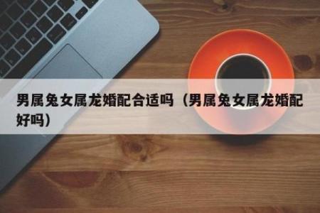 76年属龙人和兔相配吗(76年出生的属龙人和属兔人是否合适配对)