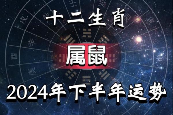 2050生肖鼠运势,2050年鼠年运势走势与展望