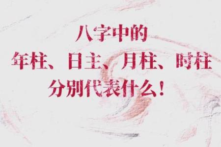 帝王柱和八字命盘 帝王柱与八字命理的关系