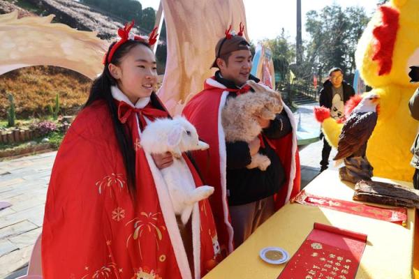 谷雨属龙属兔相配吗(谷雨出生的龙与兔是否相容)