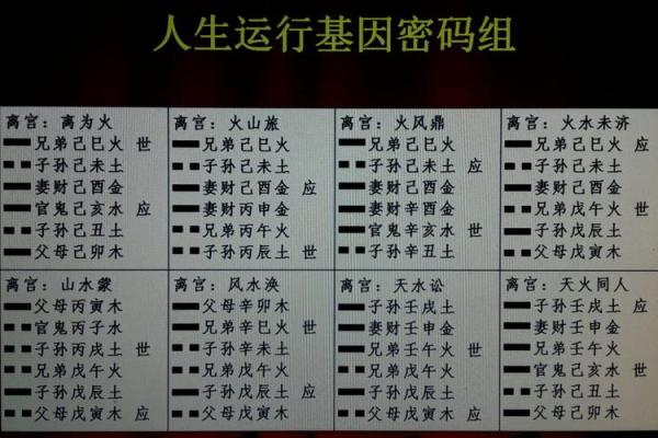 基因学和八字命理 基因学与八字命理的交汇