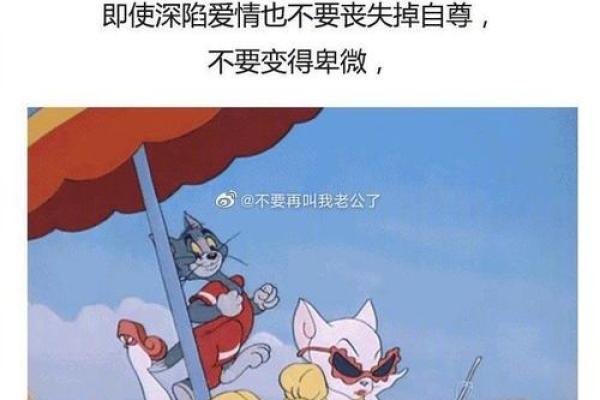 命理八字猫和老鼠的关系 命理八字下的猫与鼠关系