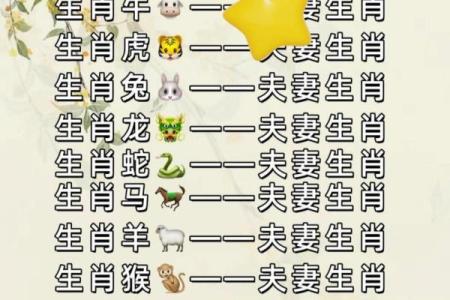 男人属蛇女人属马相配吗(男人属蛇与女人属马的配对情况如何)