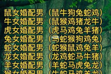 丁火命最好的八字 最适合丁火命的八字组合