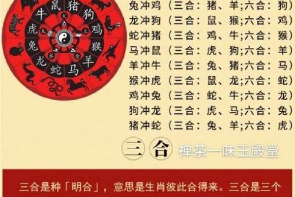 合年命看八字和属相有关吗 合年命与八字及属相之间的关系