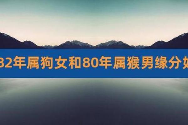 82年属狗与属猴相配吗(1982年属狗与属猴的配对情况如何)