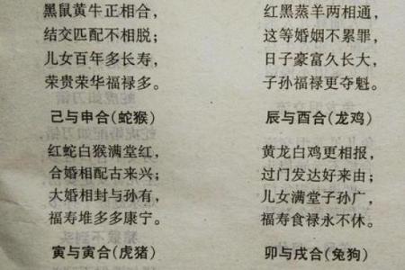 男朋友属牛我属羊相配吗(牛羊配对是否合适我和男朋友)