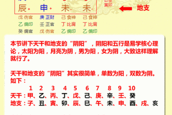 命理八字排盘推荐平价网站 八字命理排盘实惠网站推荐