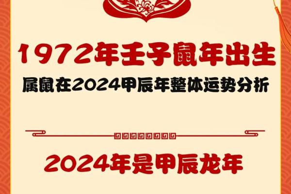 2020属鼠的好不好,2020年出生的鼠年生肖运势如何