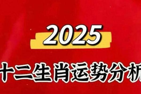 2017生肖鼠7月份运势,2017年鼠年七月运势概览