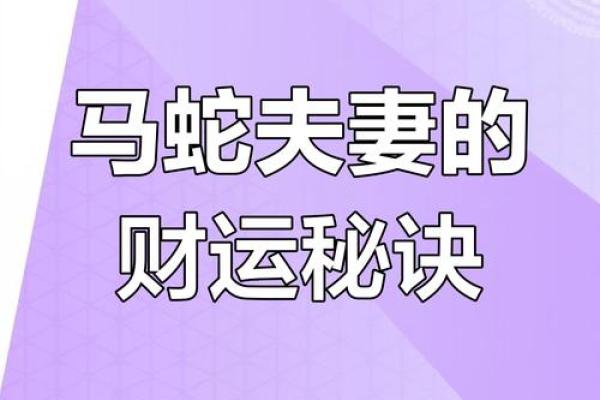 夫妻属马相配吗(属马夫妻是否合适配对)