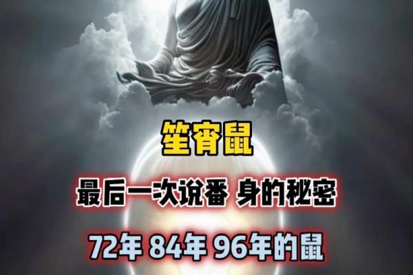 96属鼠的人在南方好吗,96年属鼠人在南方生活如何