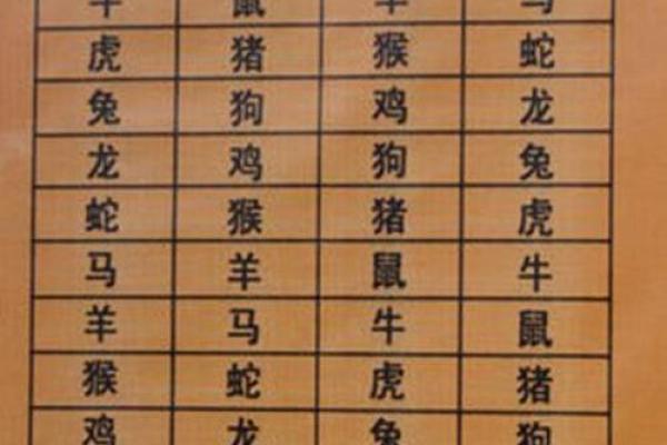 97年属什么生肖相配(1997年生肖配对建议)
