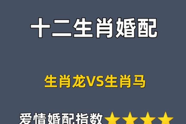 1981属龙最佳配偶,1981年属龙的理想伴侣选择