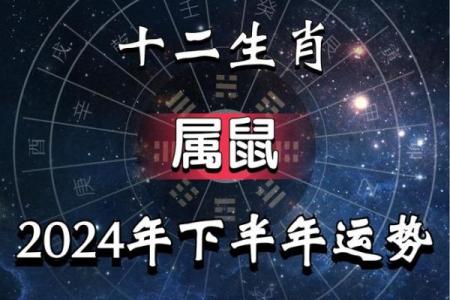 1972年属鼠的坎,1972年出生的鼠年命运挑战
