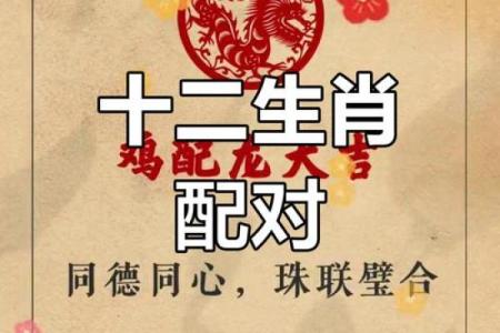 八五年属牛和属鸡相配(1985年属牛与属鸡的配对情况)