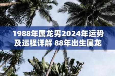 88属龙人最佳职业,1988年属龙人的理想职业选择