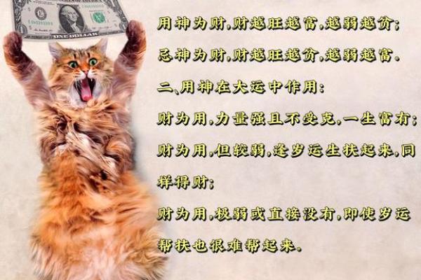 富贵命的八字壬年 壬年命理与富贵运势的关系
